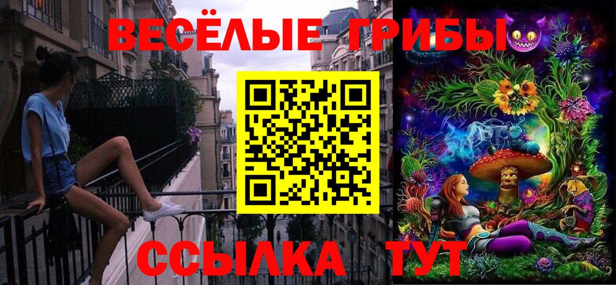 Псилоцибиновые грибы мухоморы Переславль-Залесский